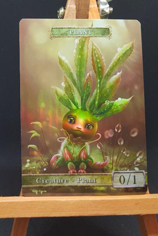 Foil Plant #3